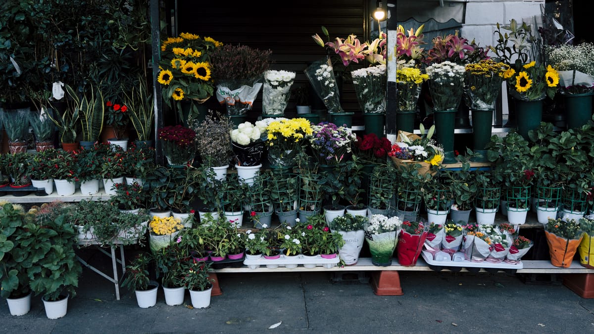 Summer in Italy - Taking Public Transit - August 2025